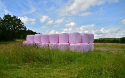 ensilage